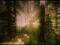 Georg Friedrich Händel Feuerwerksmusik 2