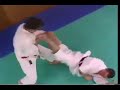 Hangetsu Bunkai