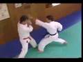 Hangetsu Bunkai