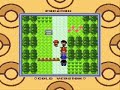 Pokemon Gold Gameshark