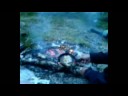flamberad harrfile