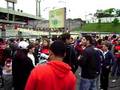 videos de São Paulo x Flamengo