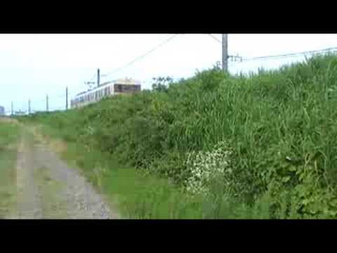 サンパチ～国府平野にて～