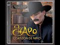 el chapo de sinaloa la mentira.wmv