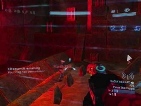 how to paint a hippo