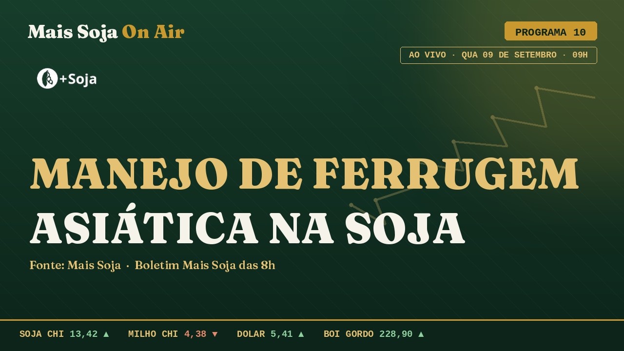 Alta da Soja  ganha força em Setembro | Mais Soja On Air