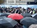 videos de LMBB Lord Mayors Show 2008