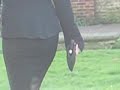 Stilettos and Squirrels Stilettos and Squirrels