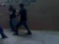 videos de petealo