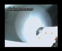 U2-Style 3W CREE 1x18650 Flashlight U2-Style 3W CREE 1x18650 Flashlight