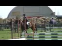 Sarah Feary Jumping Bollinger Sarah Feary Jumping Bollinger