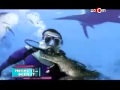 Click here to watch this video Akshay, the crocodile Dundee!