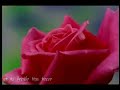 � la femme que j'aime