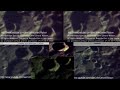 Moon Shadow - Newly named Walson\ Moon Shadow - Newly named Walson\