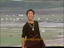 Tibetan Culture flourishing (song & dance) #20