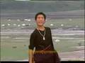 Tibetan Culture flourishing (song & dance) #20