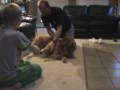Rollover Rocky