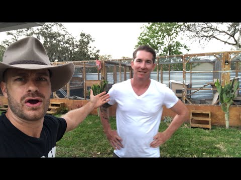 YouTube reptile video