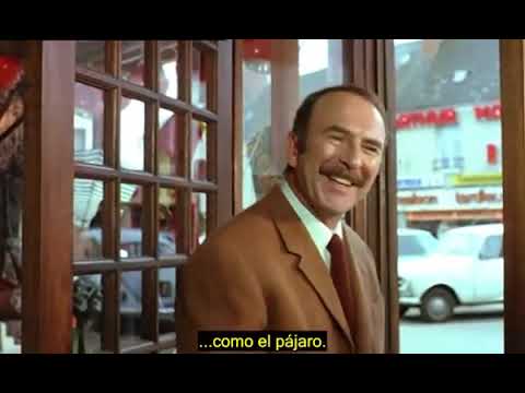 Vignette d'aperçu de la vidéo