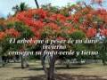 JUAN CARLOS CORONEL SOLO PARA TI