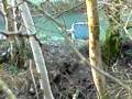 videos de A Dog Barks at Lily & Ruby