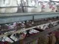 criadero de pollos