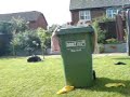 bertrice the bin lady