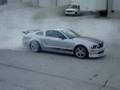 Steeda mustang
