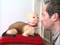 Too Gross for Discovery - Part 1