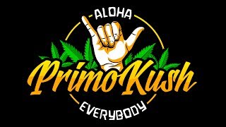 Story Time- I Was Blind For 10 Days + Shoutouts & Whats New & Coming Up by Primo Kush