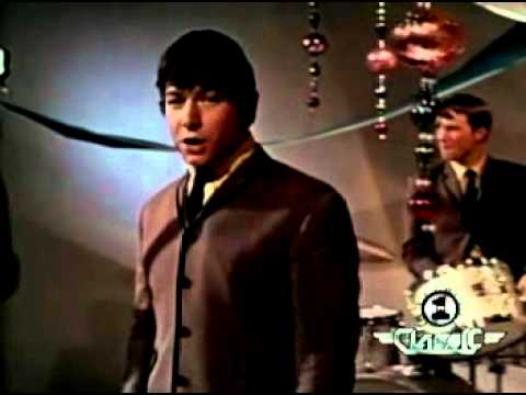 The Animals - Please Don't let me be Misunderstood