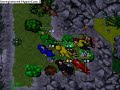 Pk shanera Noobs