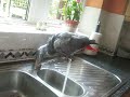 April Messing With The Tap Lol!