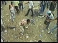 Fiesta en Corraleja [01]