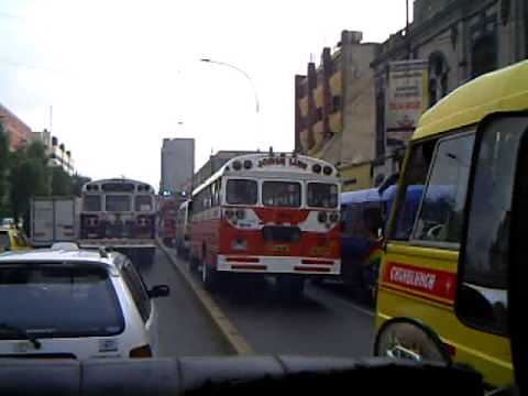 Casi nadie cumple las reglas de tránsito en la avenida Wilson
