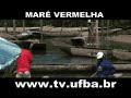 tv ufba programa 127