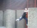 Trailer Gacela Spid (parkour King Street) Trailer Gacela Spid (parkour King Street)