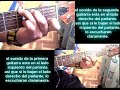 SOLO DE GUITARRAS AL TALLER DEL MAESTRO