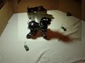 TRI/AIBO Sleep-Sit-Stand Replay Overlay