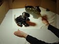 TRI/AIBO Sleep-Sit-Stand Replay Overlay