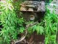 Python-Hunting-From-