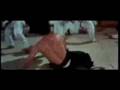 Bruce Lee Tribute