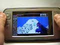 Nokia N800 + DosBox + Ski or Die