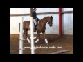 Kalfo dressage march 2011