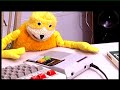 flat eric - private i