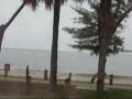 Driving to Key Biscayne