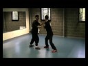 WCD / Junfangungfu demo 3