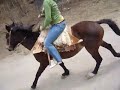 Suzana from Slovensko is Horseriding in Salta 