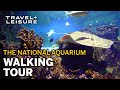 Facts About The National Aquarium In Baltimore