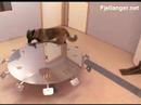 Odour detection training of young dogs - Pingla